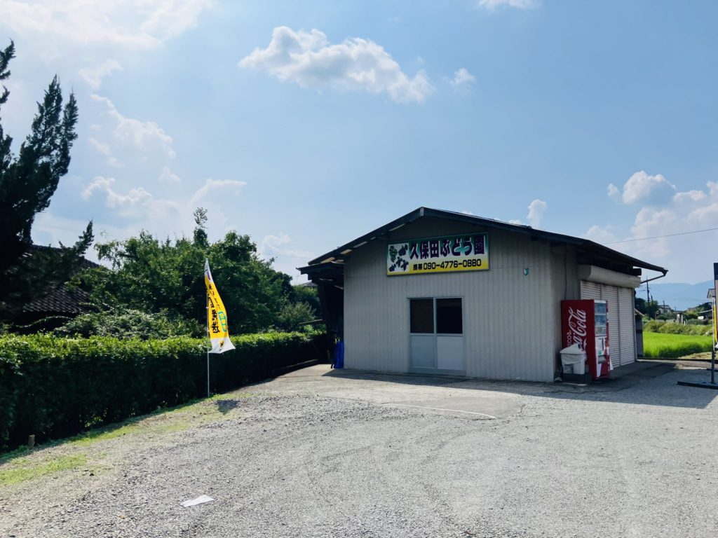 ぶどう直売
